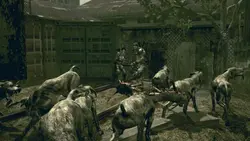 بازی کامپیوتر Resident Evil 5 Gold Edition