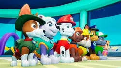بازی کامپیوتر Paw Patrol On A Roll