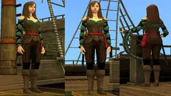 بازی کامپیوتر سیمز قرون وسطی The Sims Medieval Nobles And Pirates