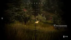 بازی کامپیوتر Hunting Simulator 2 A Rangers Life