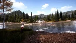 بازی کامپیوتر Hunting Simulator 2 A Rangers Life