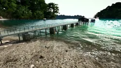 بازی کامپیوتر Ultimate Fishing Simulator