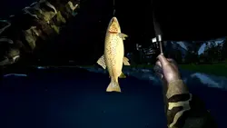 بازی کامپیوتر Ultimate Fishing Simulator