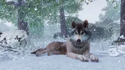 بازی کامپیوتر Planet Zoo