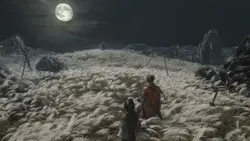 بازی کامپیوتر Sekiro Shadows Die Twice