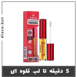 حجم لب گابرینی کد302452