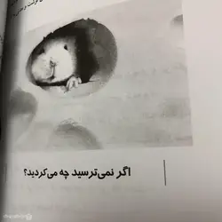 کتاب چه کسی پنیر مرا جا به جا کرد اثر اسپنسر جانسون Who Moved My CheeseWho Moved My Cheese