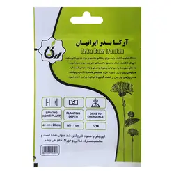 بذر گل آفتابگردان زینتی پابلند زرد آرکا بذر ایرانیان کد 137-ARK