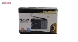 رادیو گولون مدل RX-608ACW