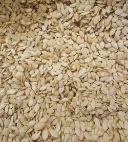 تخمه کدو درجه یک