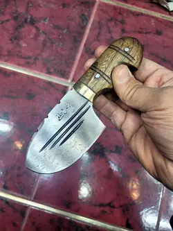 تیزی تپل بادامی خلفی