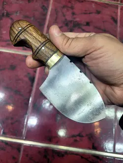 تیزی تپل بادامی خلفی