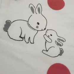 ست بلوز و شلوار 2 تیکه کد 204017