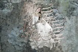 پوستر دیواری با طراحی رقص و خوشنویسی