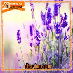 پوستردیواری گل سنبل بنفش