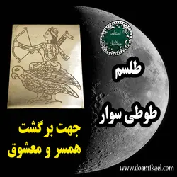 لوح فلزی طوطی سوار