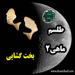 لوح فلزی ماهی 2