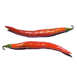 بذر فلفل قرمز پابلند