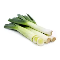 بذر تره فرنگی