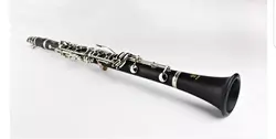 کلارینت یاماها Clarinet Yamaha YCL_S1