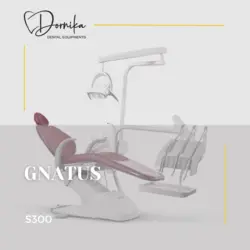 یونیت دندانپزشکی گناتوس Gnatus مدل S300