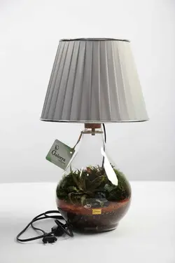 آباژور تراریوم