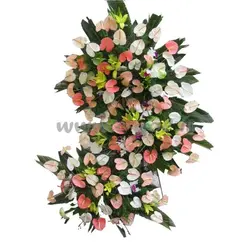 پایه گل آنتوریوم