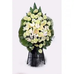 پایه گل آنتوریوم