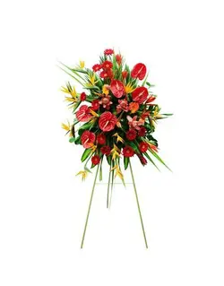 پایه گل آنتوریوم  استرزیا و ژربرا