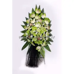 پایه گل آنتوریوم و لیسیانتوس
