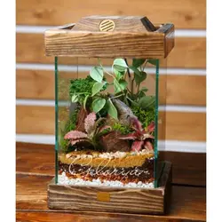 تراریوم اسکوئر