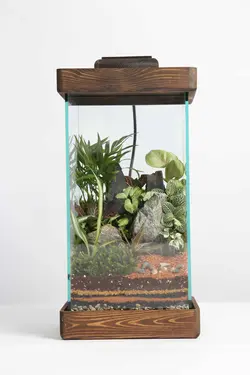 تراریوم اسکوئر