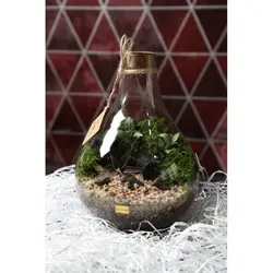 تراریوم پوپک