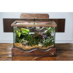 تراریوم سوپر موج