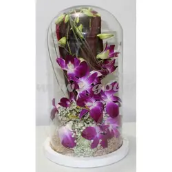 تراریوم گل ارکیده