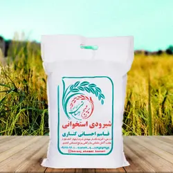 برنج شیرودی