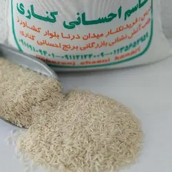 برنج شیرودی