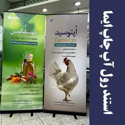 استند رول آپ
