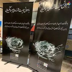 استند رول آپ