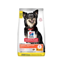 غذای خشک هیلز ساینس پرفکت دایجسشن