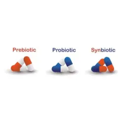 پودر پروبیوتیک synbiocure