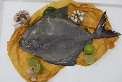ماهی حلوا سیاه