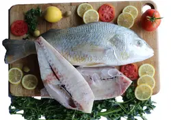 ماهی سنگسر