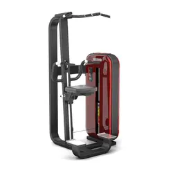 دستگاه بارفیکس کمک وزنه ای IFP طرح salter