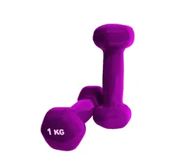 دمبل ایروبیک بانوان 1 کیلویی بسته 2 عددی