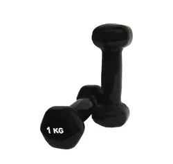 دمبل ایروبیک بانوان 1 کیلویی بسته 2 عددی