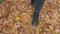 دانلود فوتیج نمای بسته از پاهای یک زن در حال راه رفتن میان برگ های پاییزی