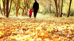 دانلود فوتیج پدر و دختر در حال پیاده روی در پارک در برگ ریزان پاییزی