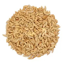 تخمه کدو مشهدی