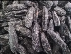 تخمه آفتابگردان شور درجه 1